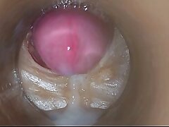 Precum in my pussy Camera In Vagina 4k free online asian gay mating videos