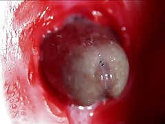 Big orgasm inner make an issue of anus! Fantastic moaning orgasm and a lot of sperm! south asian gay sex videos tumblr